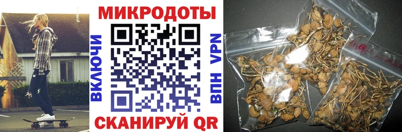 ОМГ ОМГ   Кострома  Псилоцибиновые грибы Magic Shrooms 